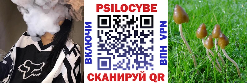 Псилоцибиновые грибы GOLDEN TEACHER  Приволжский 